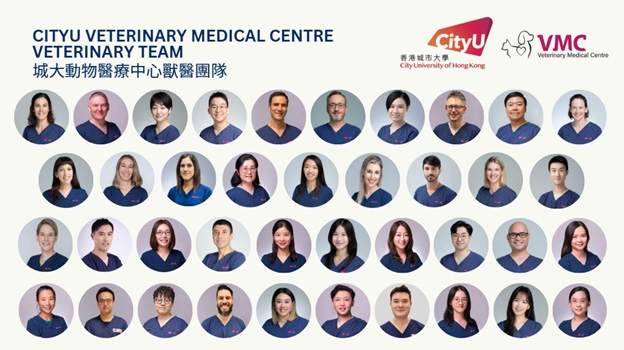 【Hong Kong Pet Hospital Recommendation】CityU VMC: The Largest scale, with 24-Hour Emergency Service and Top-Tier Specialist Team in Hong Kong